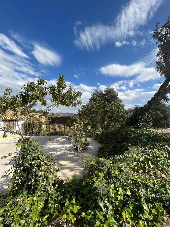 Holiday home Cortijo El Nevazo Fuentes de Cesna